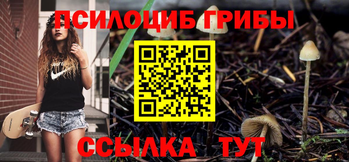 Псилоцибиновые грибы мицелий  Вход с VPN  Котовск 